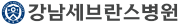 강남세브란스병원.png